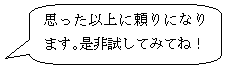 角丸四角形吹き出し: 思った以上に頼りになります。是非試してみてね！